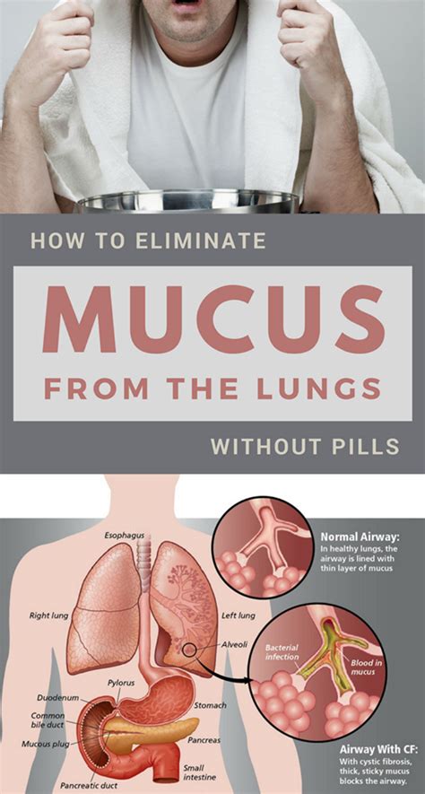 How To Eliminate Mucus From The Lungs Without Pills | Mucus, Mucus relief, Home remedy for cough