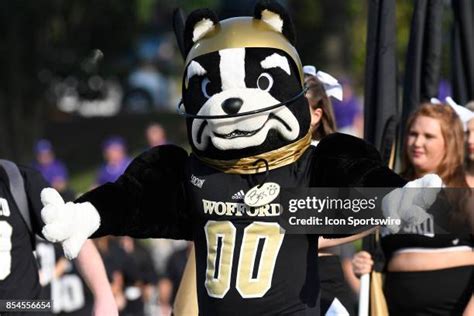 Wofford Mascot Photos and Premium High Res Pictures - Getty Images