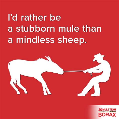 Stubborn As A Mule Quotes. QuotesGram
