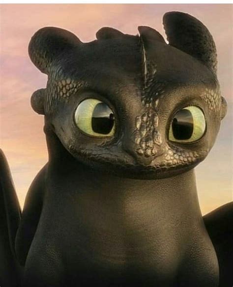 Pin by Amanda Johnson on Httyd | How train your dragon, How to train ...