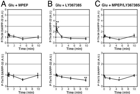 Role of mGlu receptors in the glutamate-induced increase in DARPP-32... | Download Scientific ...