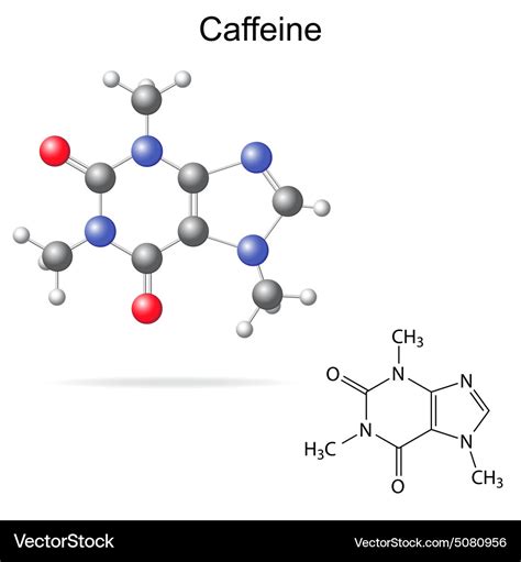 Caffeine molecule Royalty Free Vector Image - VectorStock