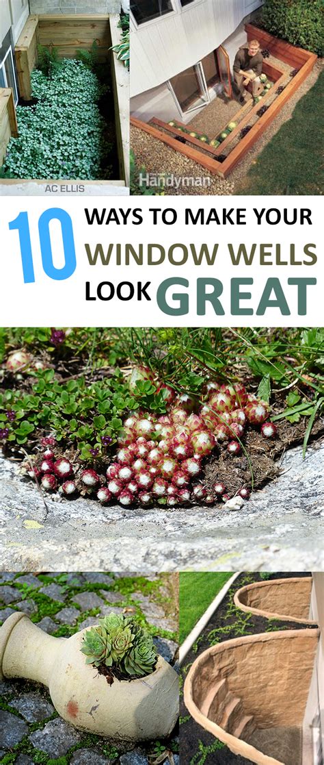 10 Ways to Make Your Window Wells Look Great - Sunlit Spaces