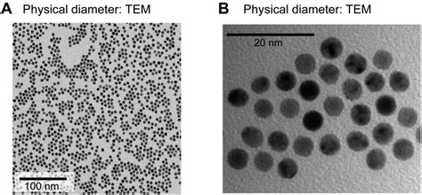 Gold Nanoparticle Synthesis