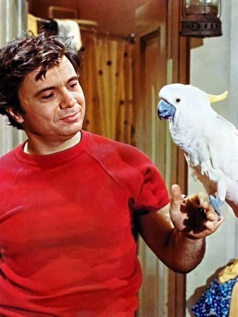 In the Baretta TV show, Robert Blake played an unconventional cop with a charming cockatoo (1975 ...