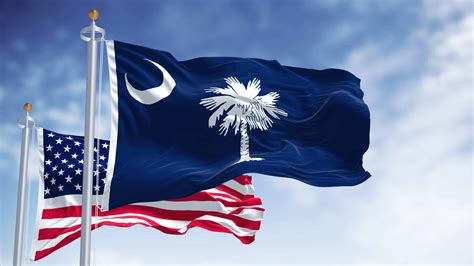 The Flag of South Carolina: History, Meaning, and Symbolism - A-Z Animals