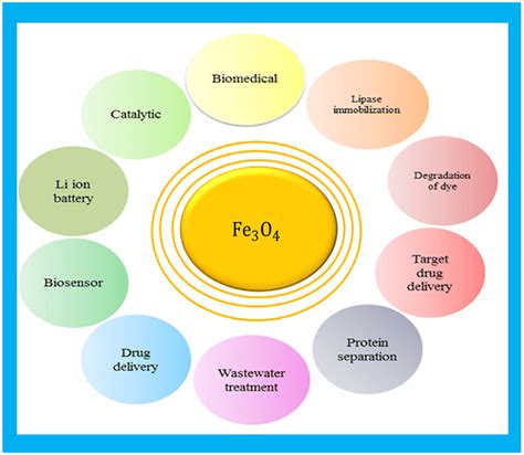 Application of Iron oxide nanoparticles. | Download Scientific Diagram