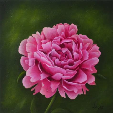 Pink Peony | Margo Munday Fine Art | Classical and Contemporary Acrylic ...