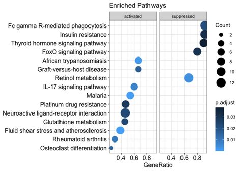 Customize biological processes shown in KEGG analysis dotplot