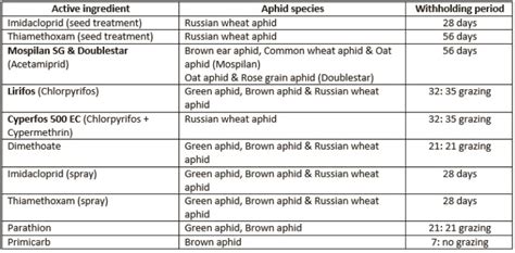 Aphids on wheat in South Africa