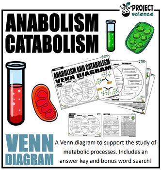 Anabolism and Catabolism Venn Diagram by PROJECT science | TPT