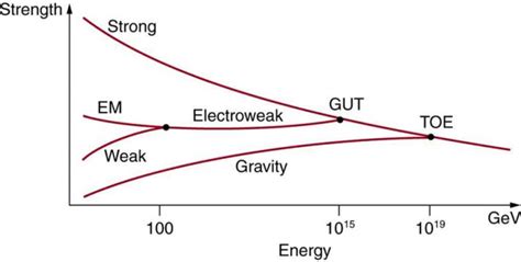 GUTs: The Unification of Forces | Physics