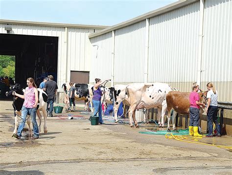 North Dakota State Fair declared a success | News, Sports, Jobs - Minot ...