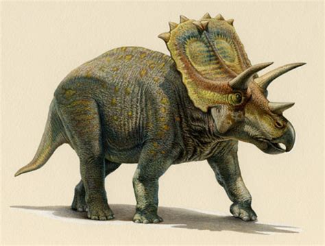 Anchiceratops Dinosaur, Gallery | posters - Dinosaurs Extinction