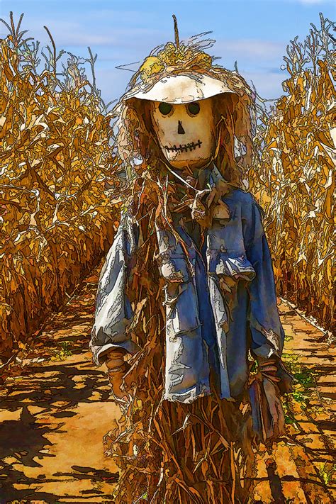 Corn Field Scarecrow Free Stock Photo - Public Domain Pictures