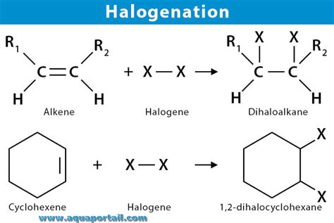 Halogénation : définition illustrée et explications