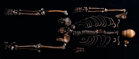 Mystery of human bones found in castle well is finally solved as DNA ...