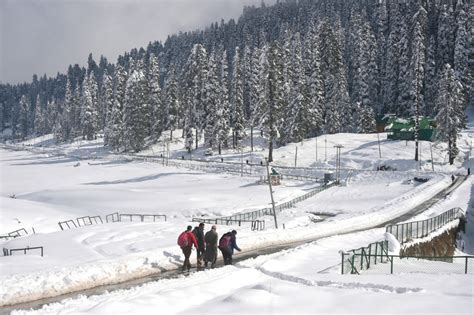 Season's first snowfall in Gulmarg