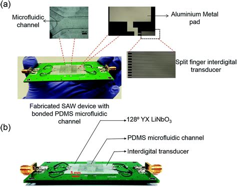 Photoacoustic induced surface acoustic wave sensor for concurrent opto-mechanical microfluidic ...