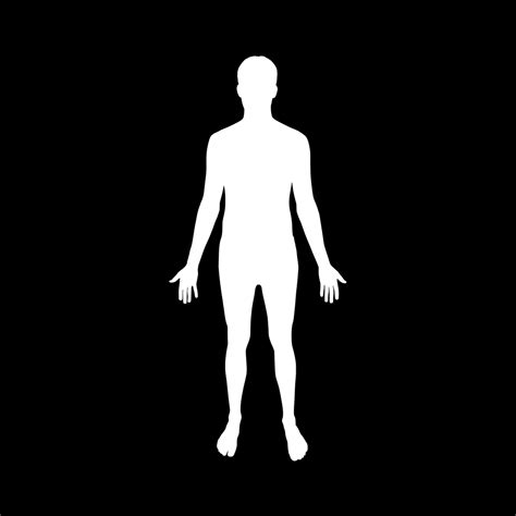 Free Human Body Silhouette, Download Free Human Body Silhouette png ...