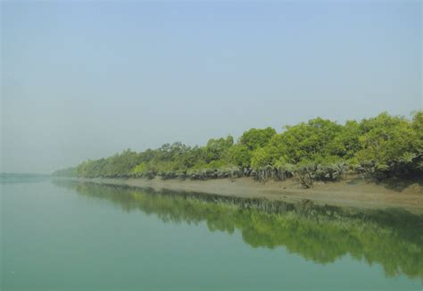 Sundarbans in Indian Ganges delta | Download Scientific Diagram