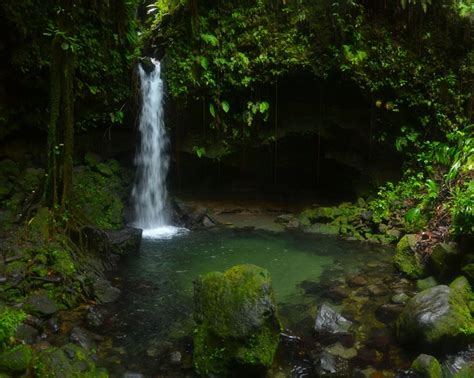 Ahhh...Emerald Pool! One of the prettiest places on earth! | Waterfall, Pretty places, Places to go