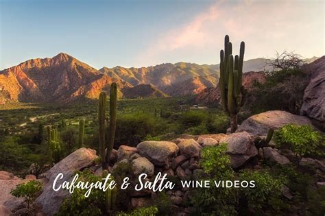 Video guide to Cafayate & Salta wine regions in Argentina