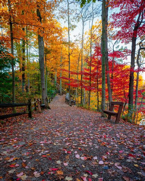 Fall colors at Cleveland Metroparks Rocky River Reservation. : r/Cleveland