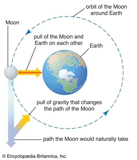 Gravity | Definition, Physics, & Facts | Britannica