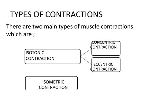 SOLUTION: Muscle contraction types - Studypool