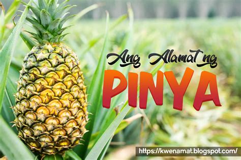 Ang Alamat ng Pinya