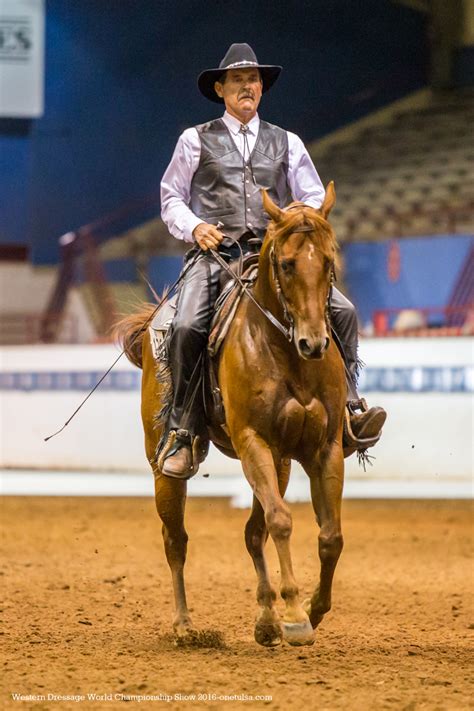 Western Dressage Training Showing Clinics Lessons Ontario Canada