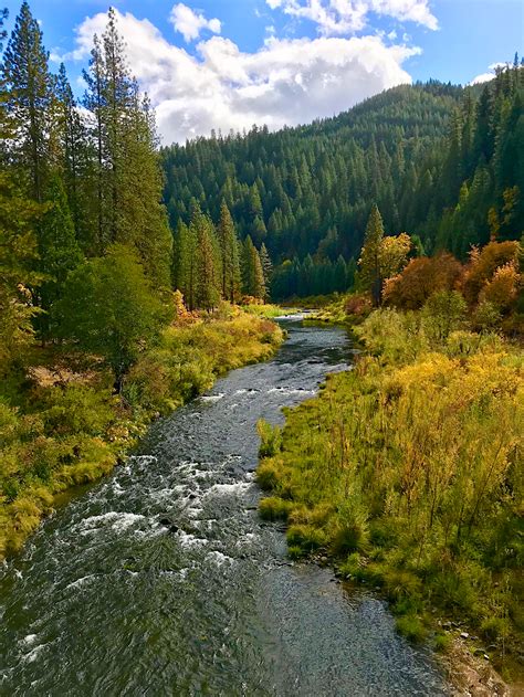 Plumas – About to Fall – California Fall Color