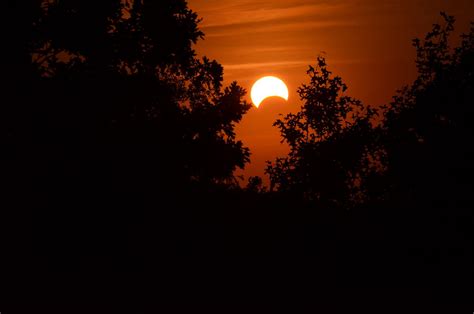 Solar Eclipse 2017 Sun Party: Free Donuts & Eclipse Sunglasses | San Rafael