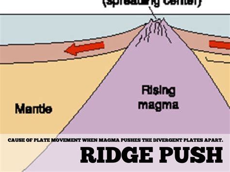 Tectonic Plate Boundaries by Gracie Sands