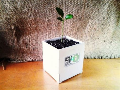 DIY Smart Plant pot - Electronics-Lab.com