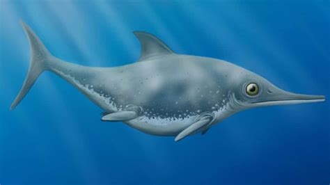 New species of ichthyosaurs discovered on English Channel Coast