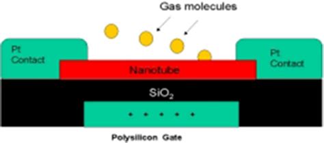 An example for the application of carbon nanotubes in chemical sensors... | Download Scientific ...