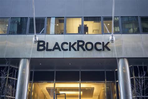 World's biggest investor Black Rock comes to town - NZ Herald