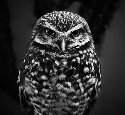 Six tips to help night owls get a better night’s sleep – Weareluminate