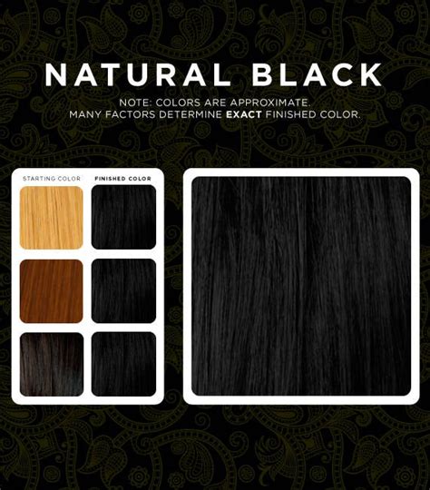 Top 100 image natural black hair dye - Thptnganamst.edu.vn