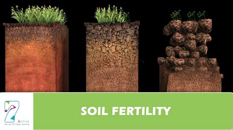 SOIL FERTILITY - YouTube