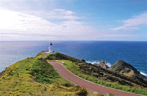 Tours | Far North Tours | 90 Mile Beach Cape Reinga eco tours New Zealand