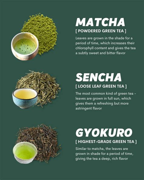 Everything You Need To Know About Japanese Green Tea! - Asia Trend