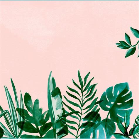 Aesthetic Minimalist Plant Desktop Wallpapers - Wallpaper Cave