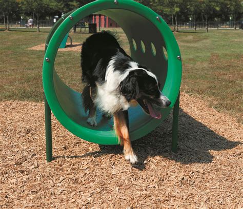 Dog Agility Equipment | Dog Agility Training Equipment | Dog Agility Course Equipment