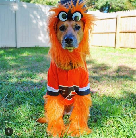 Gritty is the only Halloween Costume this year : r/nhl