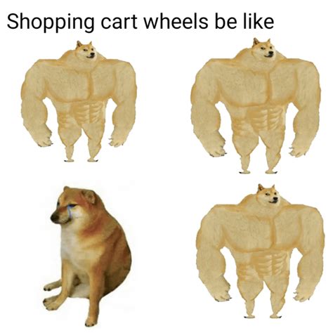 strong dog cool : r/memes