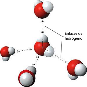 El agua: propiedades químicas | La guía de Biología