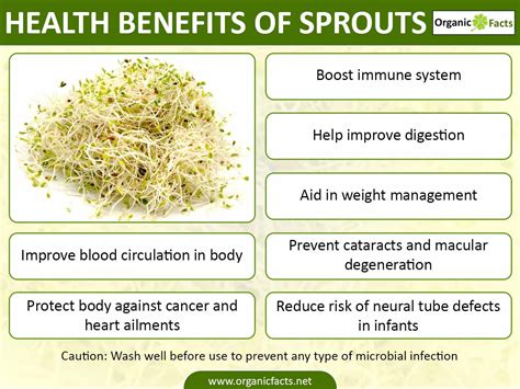 11 Best Benefits of Sprouts | Organic Facts